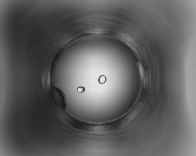 X0000090740301200707201435