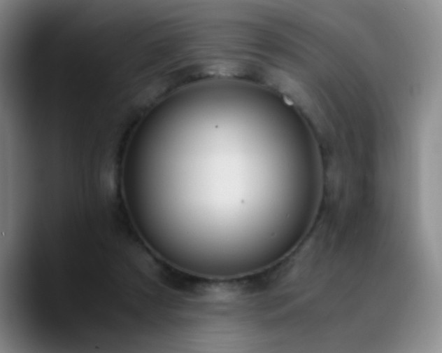 X0000090740305200707201434