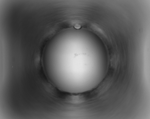 X0000090740314200707201434