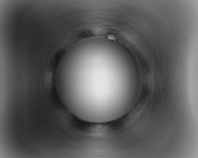 X0000090740319200707201434