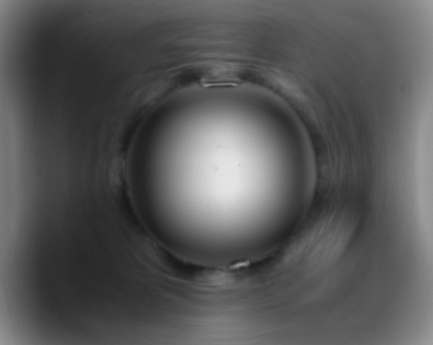 X0000090740325200707201434