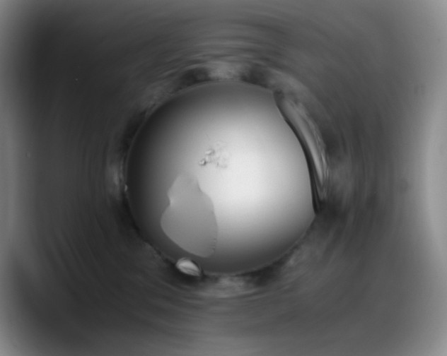 X0000090740329200707201434