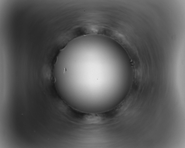 X0000090740331200707201434
