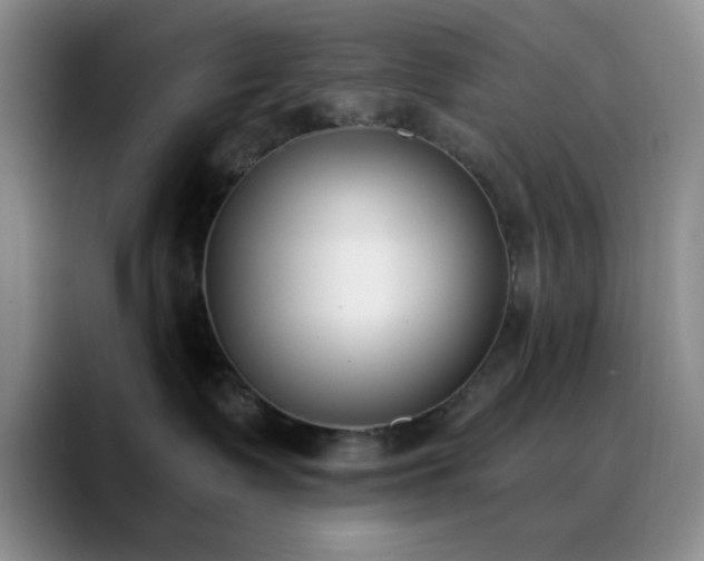 X0000090740335200707201434