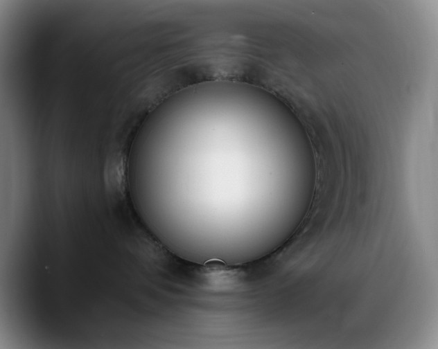 X0000090740336200707201434
