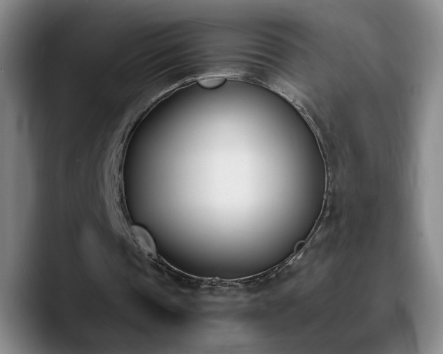 X0000090740337200707201433