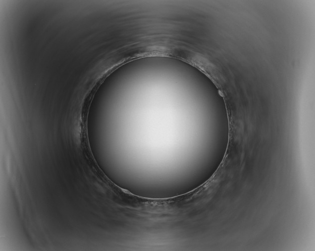 X0000090740338200707201433