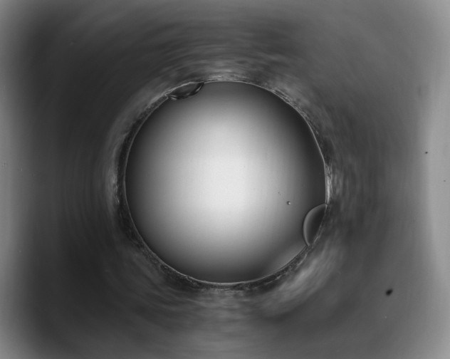 X0000090740339200707201433