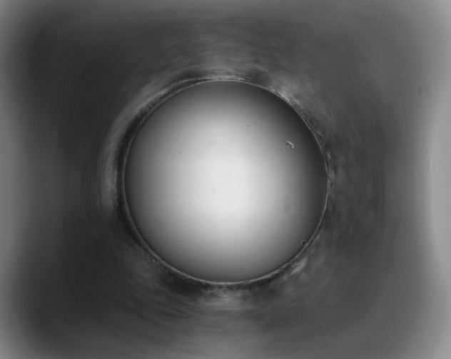 X0000090740343200707201434
