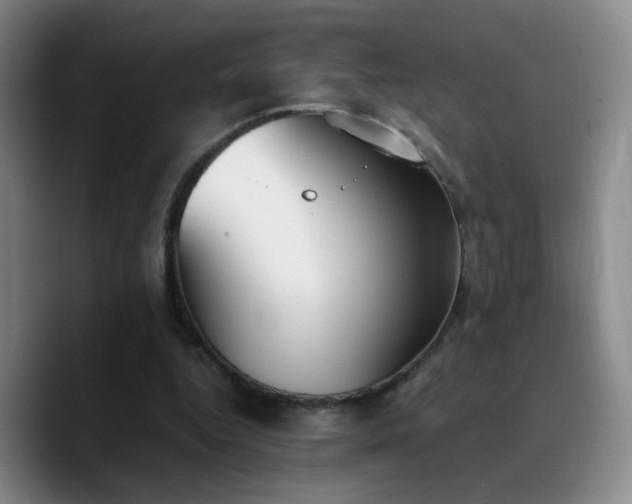 X0000090740344200707201434