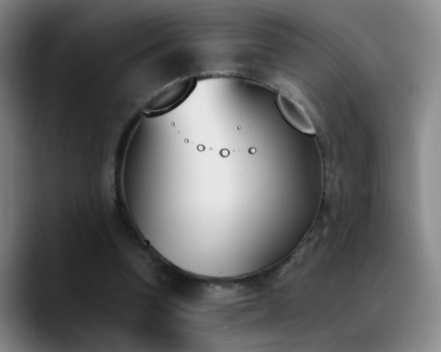 X0000090740346200707201434