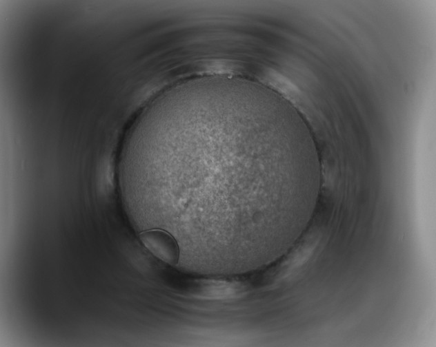 X0000090740347200707201434