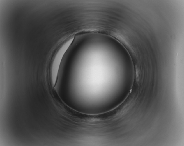 X0000090740348200707201434