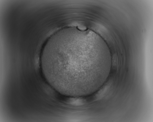 X0000090740351200707201434