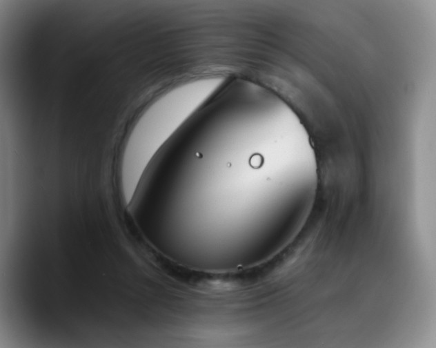 X0000090740352200707201434