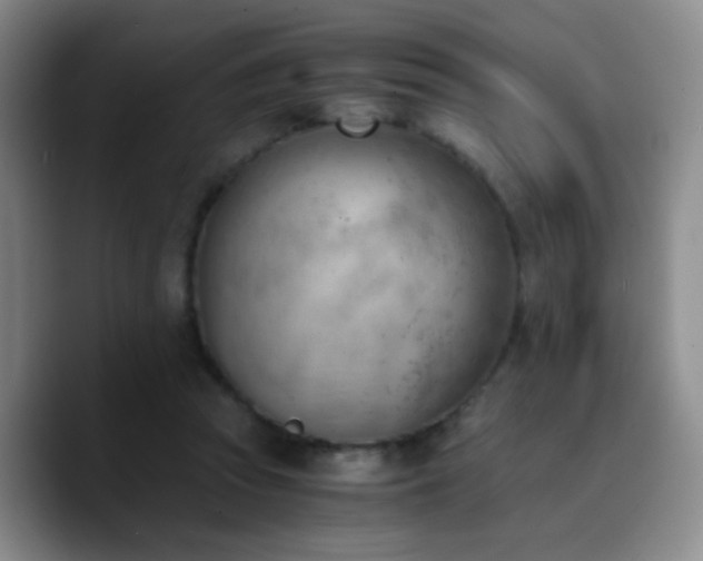 X0000090740353200707201434