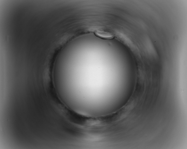 X0000090740354200707201434