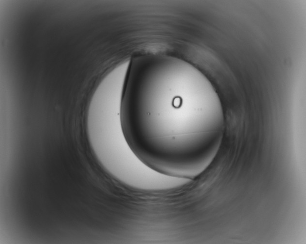 X0000090740356200707201434
