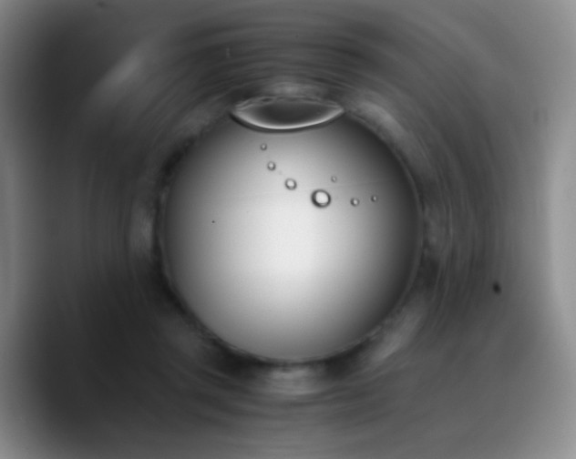 X0000090740357200707201434