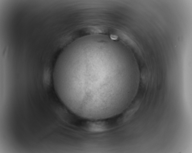 X0000090740359200707201434