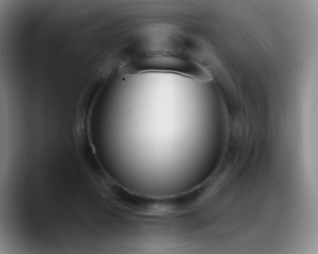 X0000090740360200707201434
