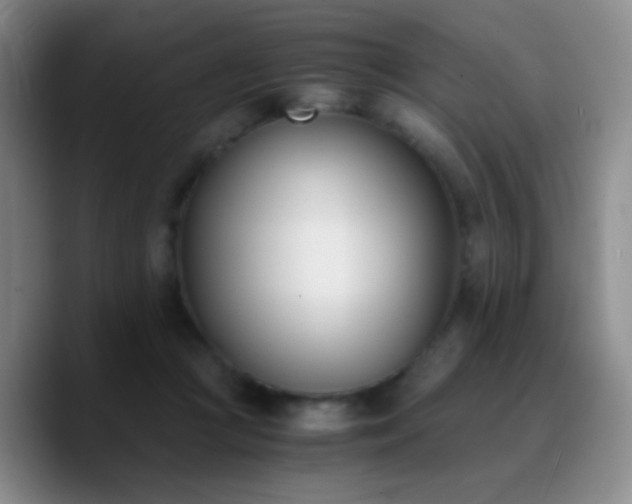 X0000090740361200707201434
