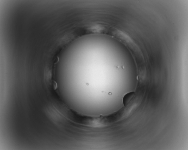 X0000090740365200707201434