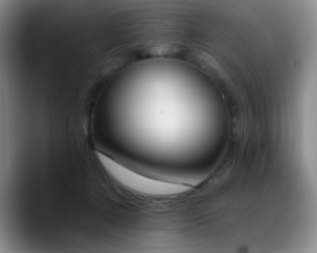 X0000090740368200707201434
