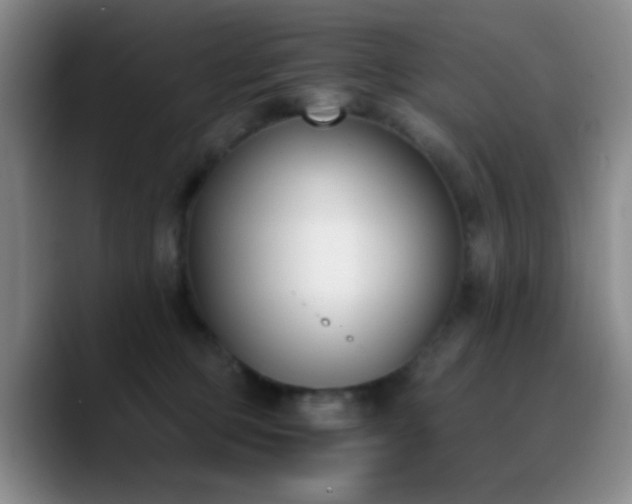 X0000090740373200707201434