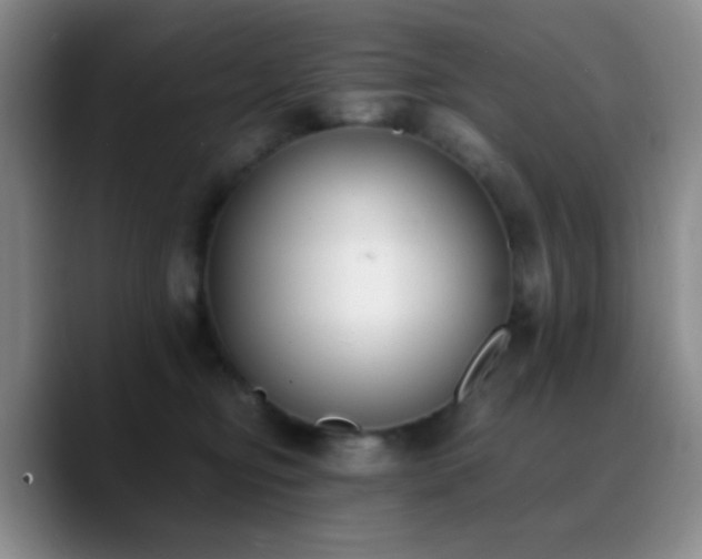 X0000090740374200707201434