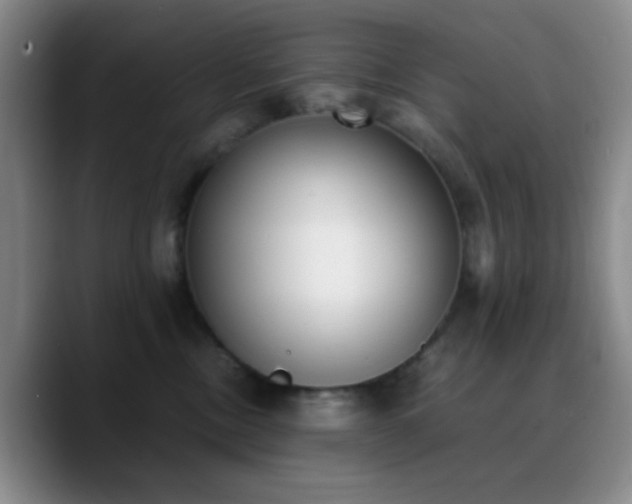 X0000090740378200707201434