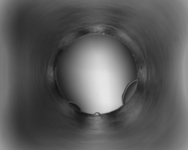 X0000090740381200707201434