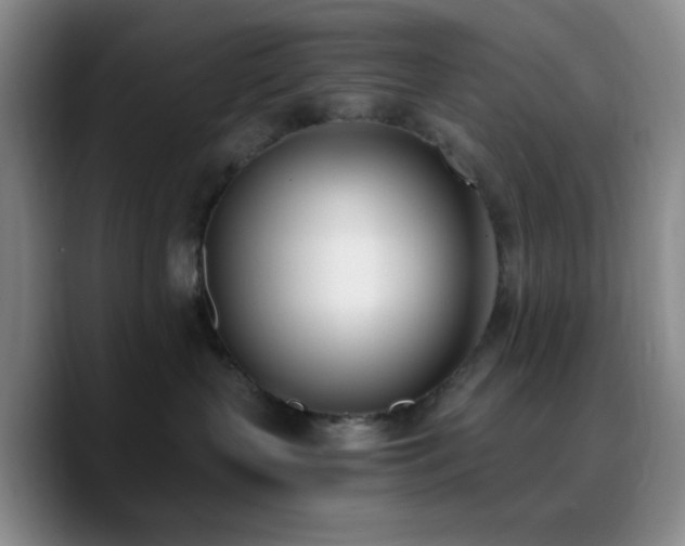 X0000090740383200707201434