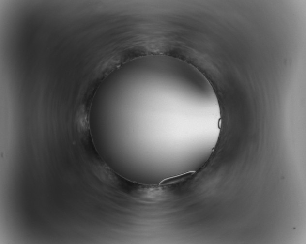 X0000090740384200707201434