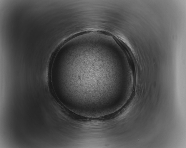 X0000090740387200707201433