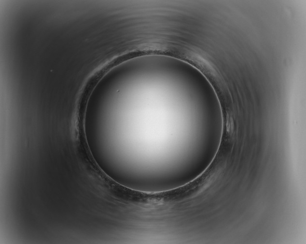 X0000090740388200707201433
