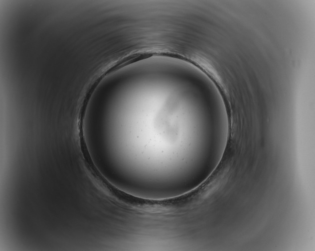 X0000090740389200707201433