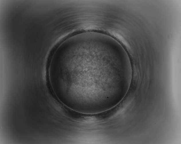 X0000090740391200707201433