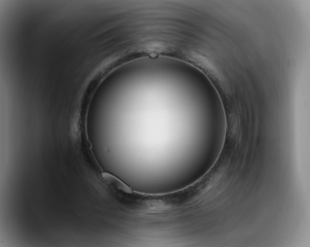 X0000090740392200707201433