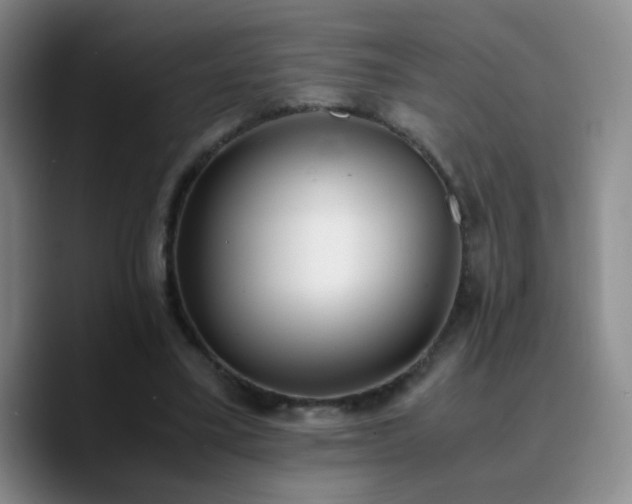X0000090740395200707201433