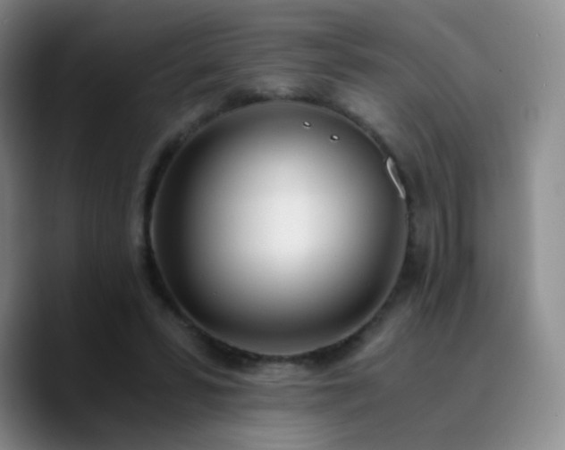 X0000090740399200707201433