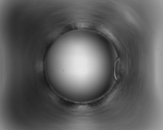 X0000090740401200707201433