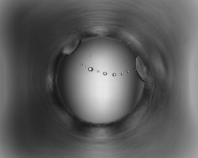 X0000090740404200707201433