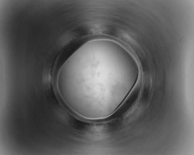 X0000090740405200707201433