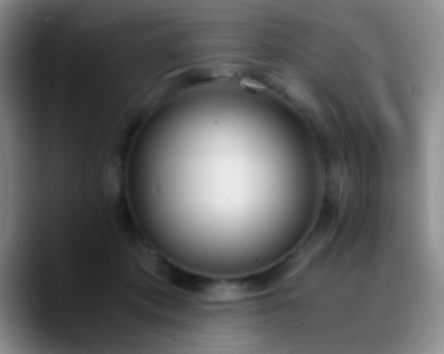 X0000090740413200707201433
