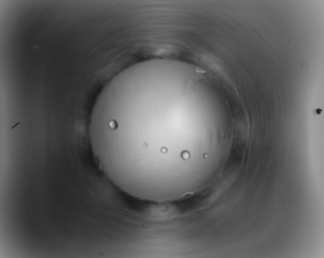 X0000090740415200707201433