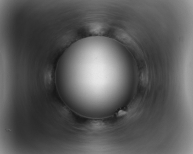 X0000090740424200707201433