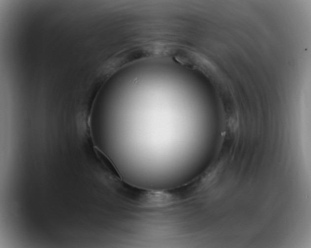 X0000090740429200707201433