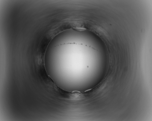 X0000090740432200707201433