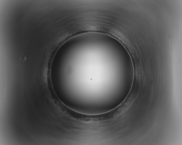 X0000090740434200707201432